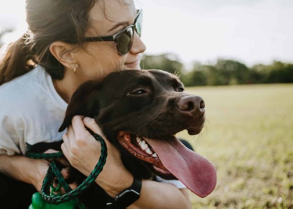Comment prendre soin de la santé de son animal de compagnie ?